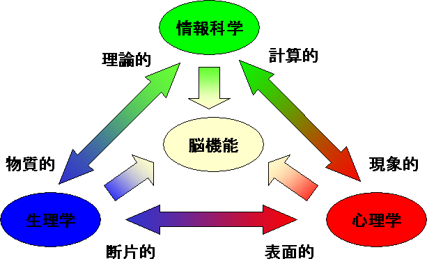  脳研究の大きな柱 