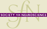  Society for Neuroscience 